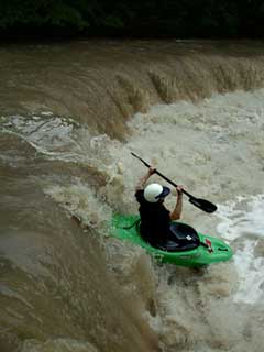 Dave H su Brushy Fork