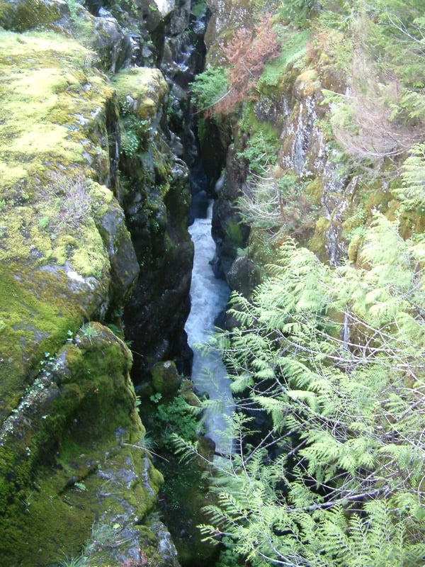 Muddy Fork