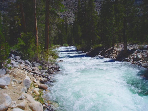 The first quater mile on Piute Creek is continuous class IV-V