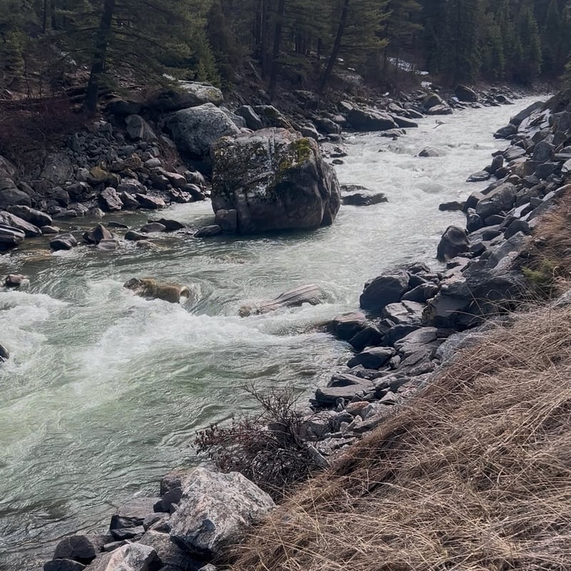Still pretty low, runnable at house and through rock garden on river left