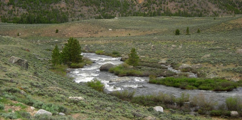 Taylor River  @01. 748 Bridge to Pieplant Ranch