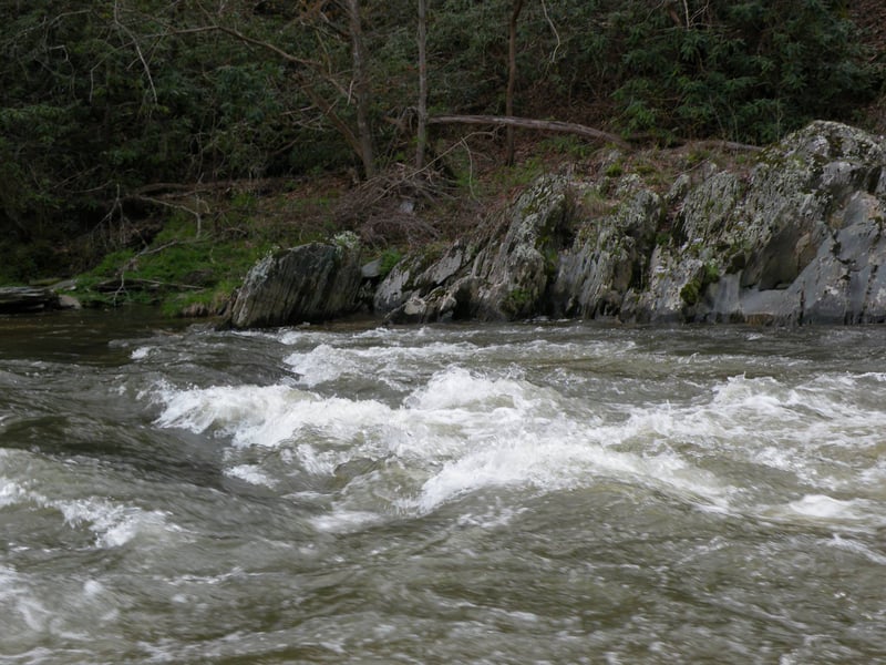 Bear Falls