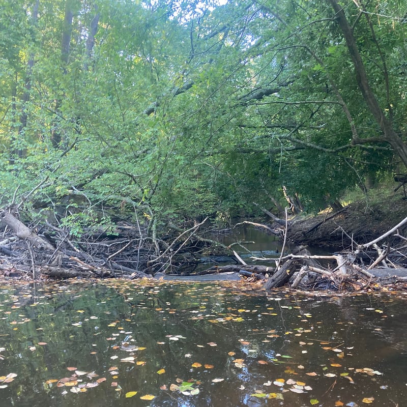 Beaver Dam portage 