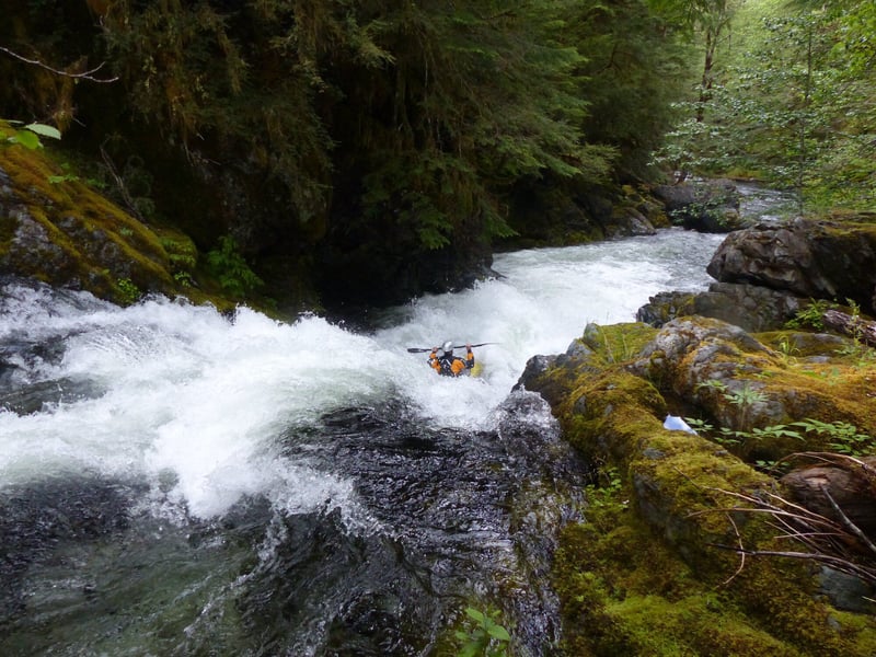  on Opal Creek (Opal Proper) @Beachie Creek to Jawbone Flat footbridge