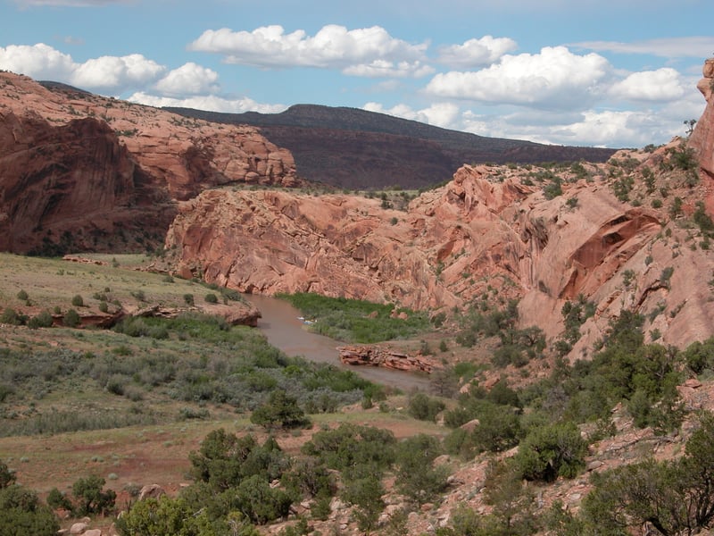 Dolores River