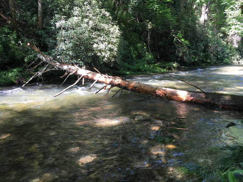 Downstream of coontree, before shut in