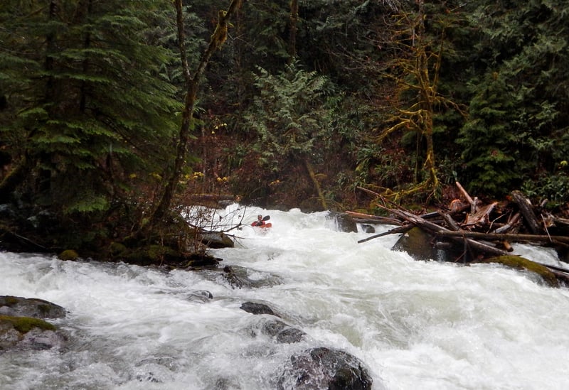 Chase Nobles on Trout Creek