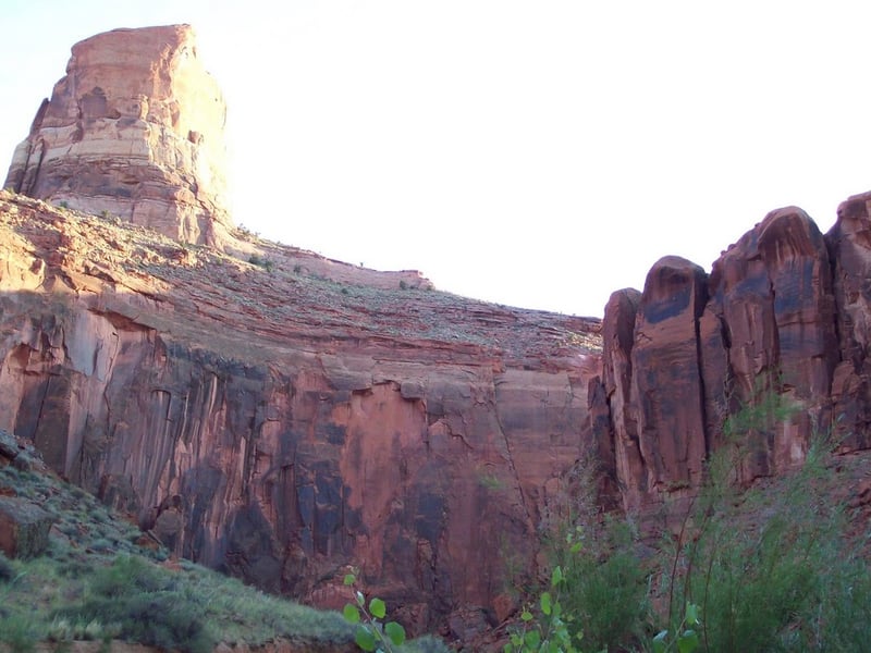 Escalante 2009