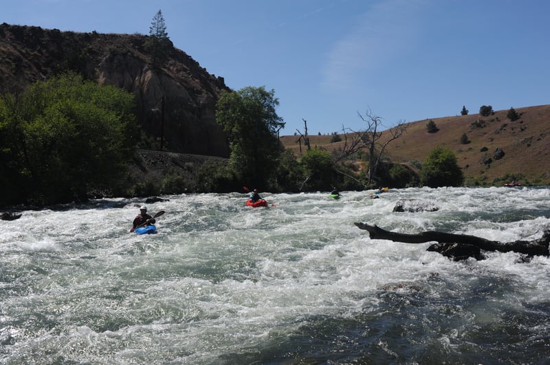 Whitehorse Rapid Upstream View