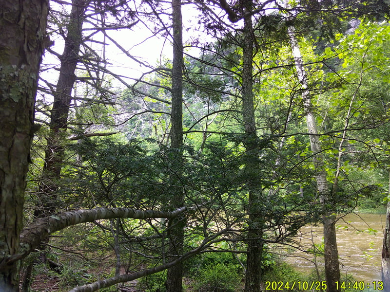 View from Dick Gramm's Lunch stop