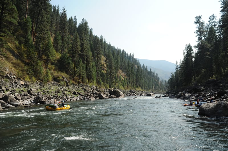 Elkhorn Rapid runout
