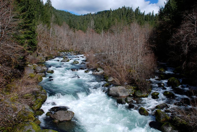 Last Rapid in Miracle Rapid