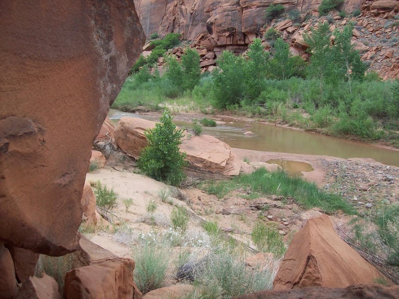 Escalante 2009