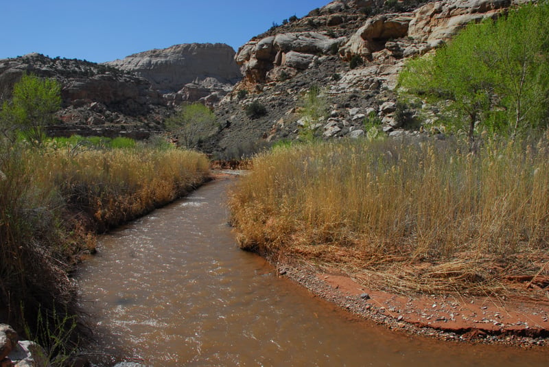 Freemont River