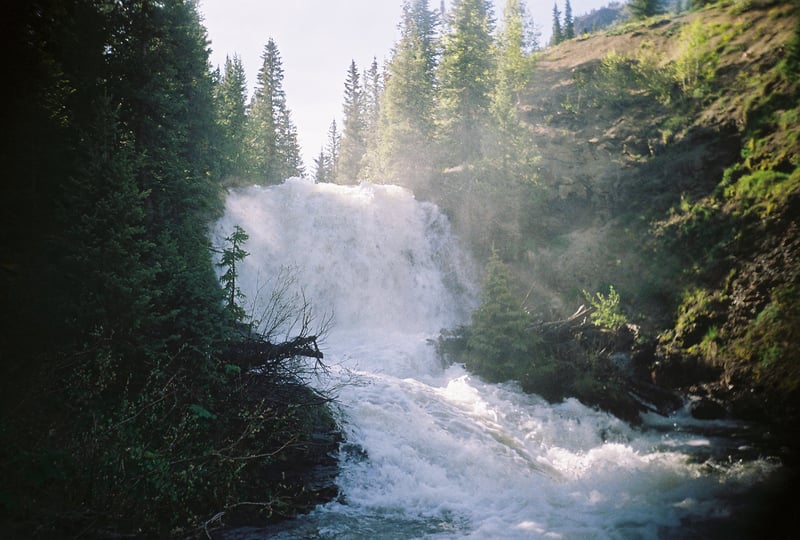 Wood Falls Sequence