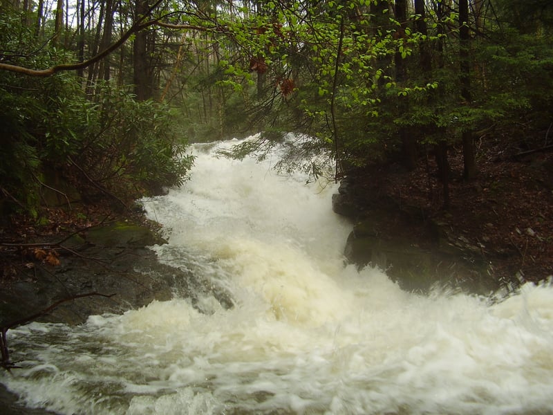 1st quary slide
