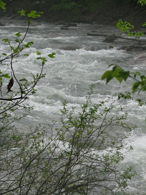 North Branch Potomac - Whitewater Release