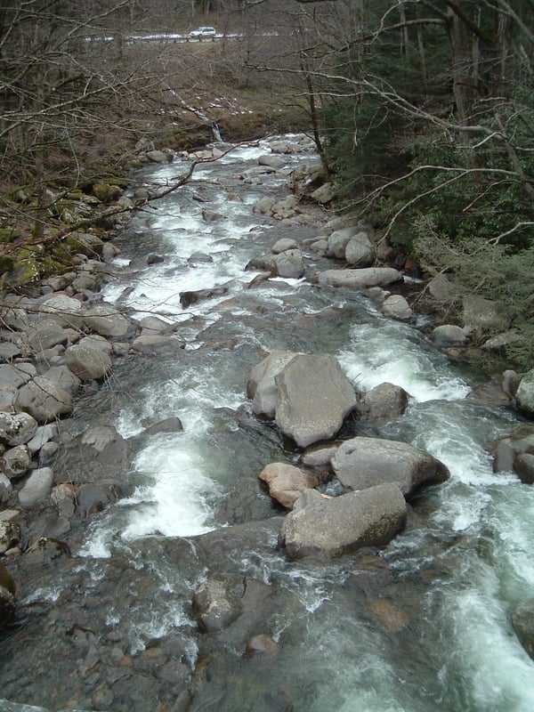 West Prong - From Put-in bridge looking downstream