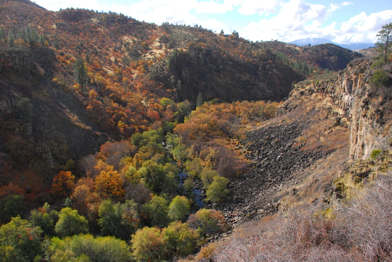 Wards Canyon