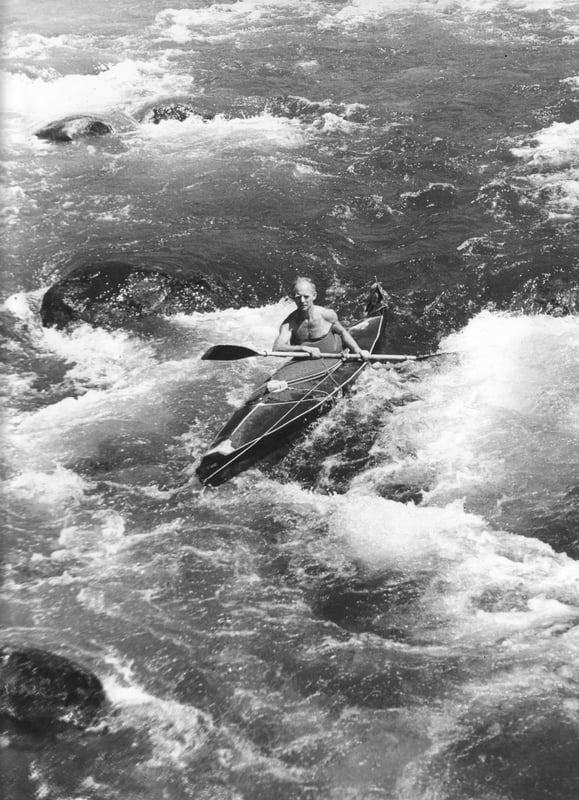 Wolf Bauer