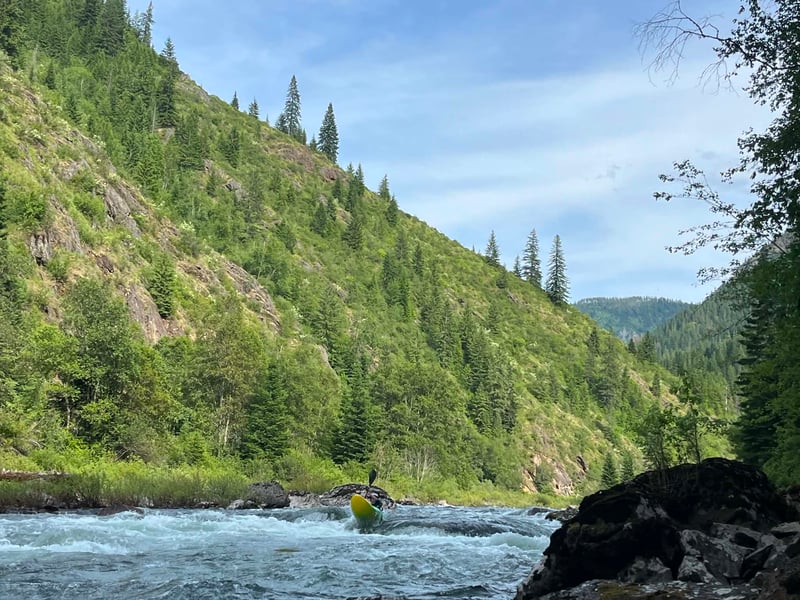 Lower Rapid