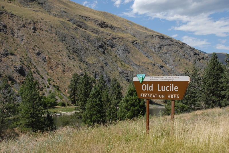 Old Lucile Sign