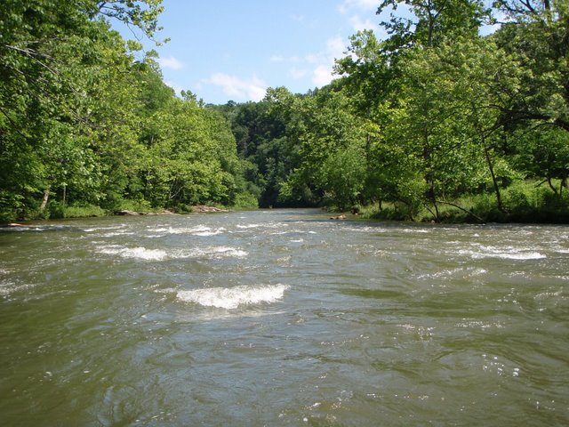 Walker Creek