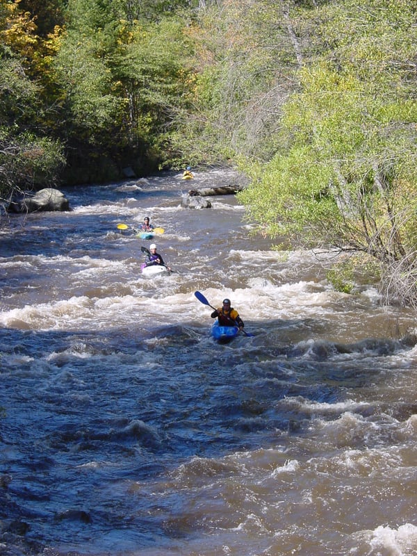 Seneca Reach NF Feather 2