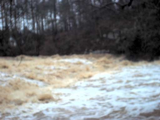 Setting Down at flood stage