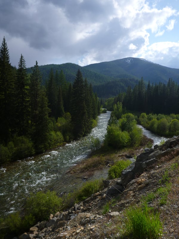 Fish Creek above Forks