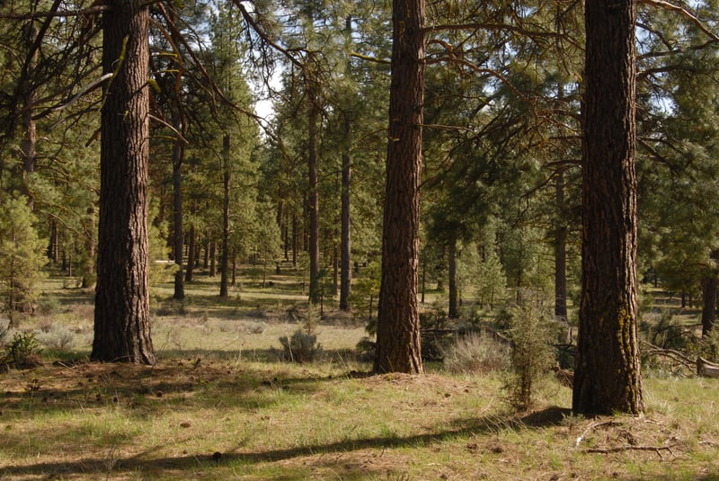 Keno Recreation Area