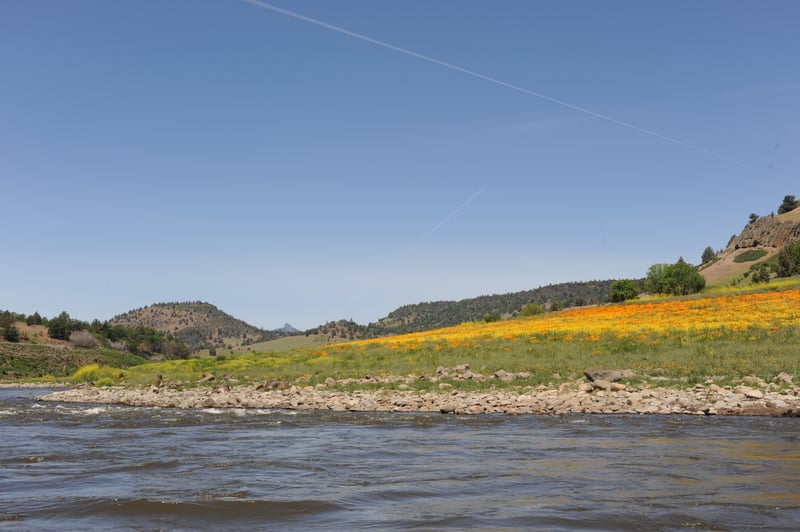 Restored River Corridor