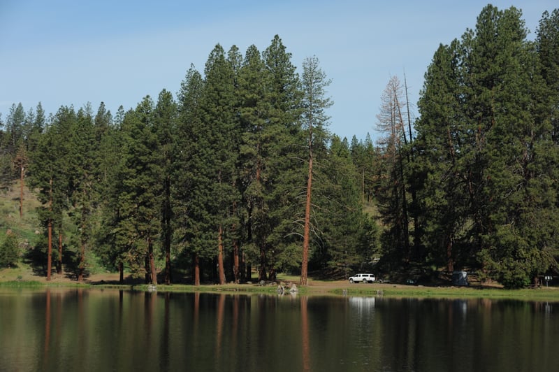 Pioneer Park West