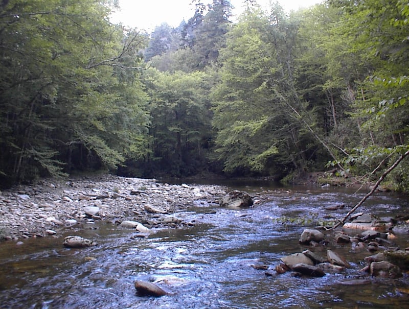 Three Forks