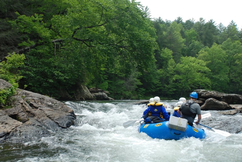 Surf Rapid