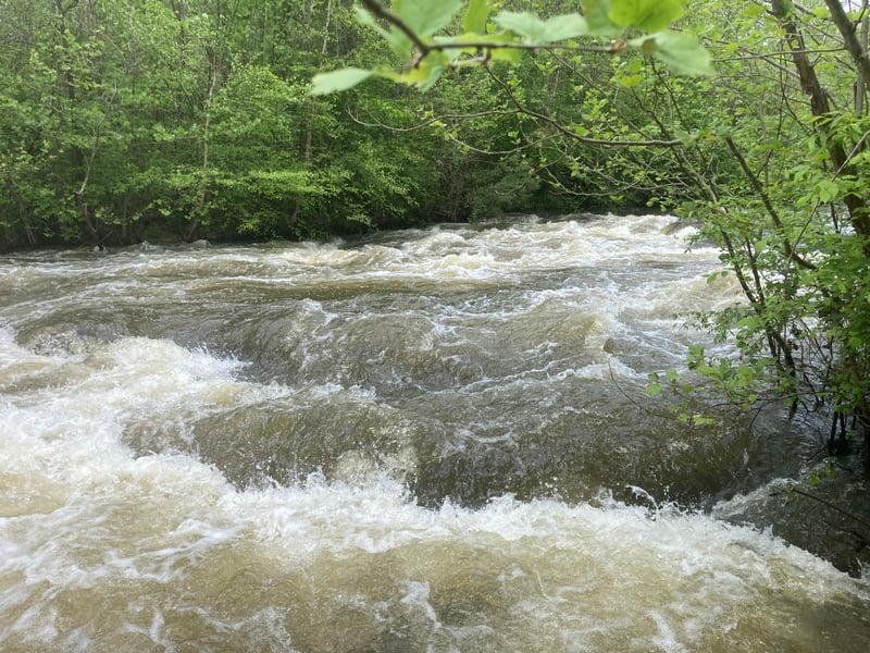 Last rapid II+ at this level