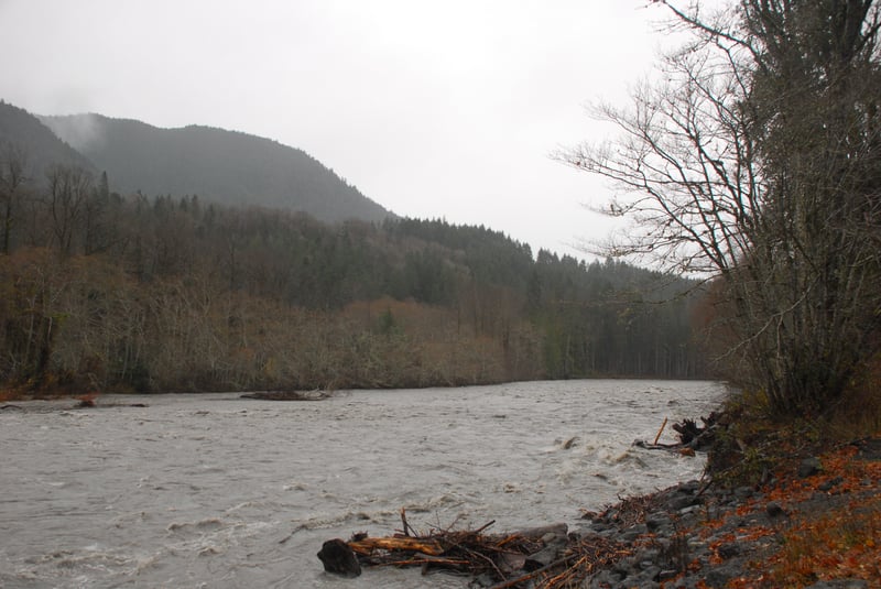Elwha River High Water
