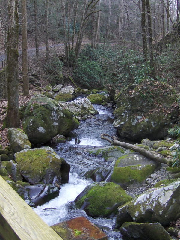 Looking at rapid below lower bridge