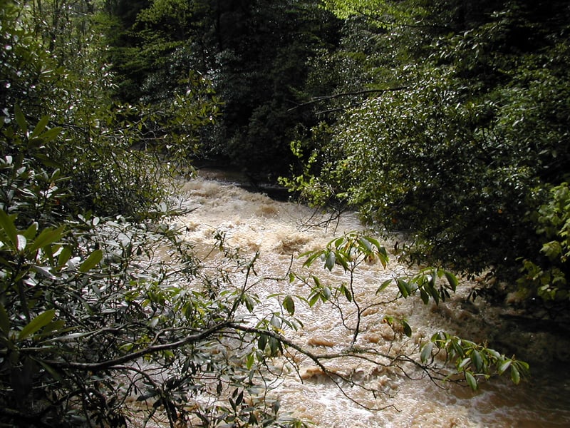 Fourth Drop? - Middle Creek, NC