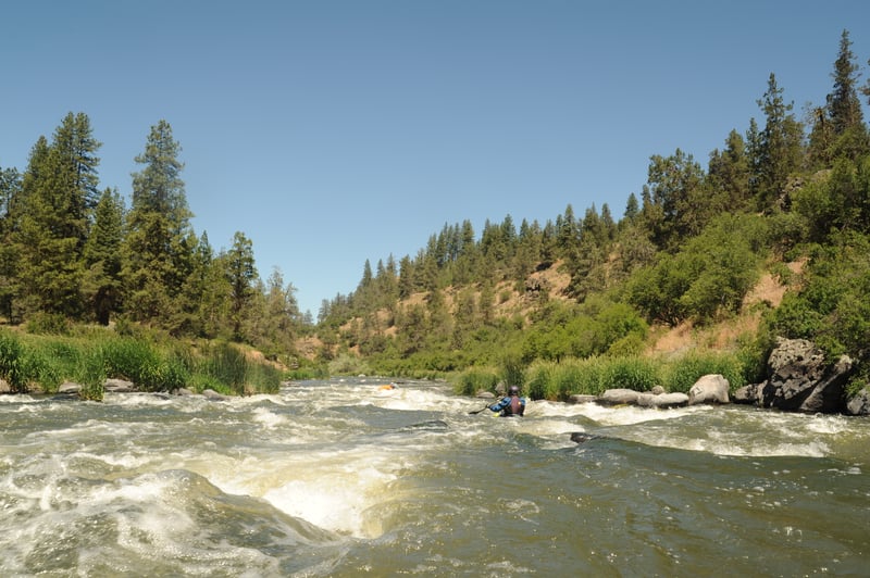 Rapids on the Keno Reach