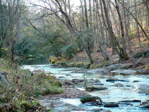 Rice Creek