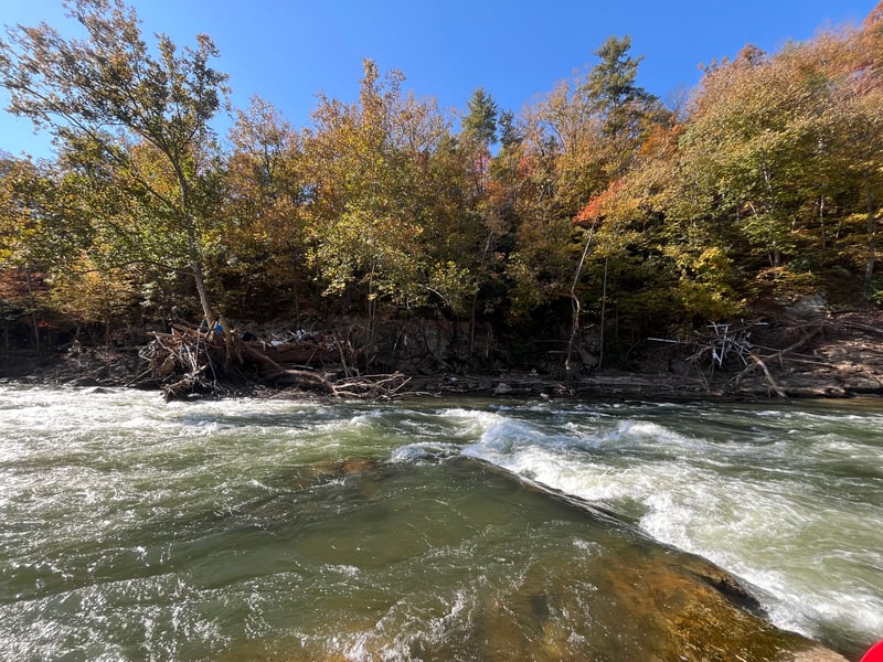 Debris in the River at Sandy Bottom