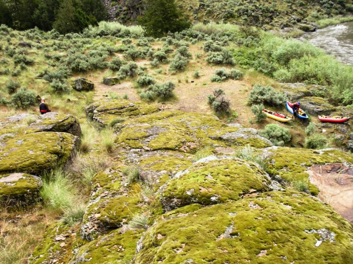 Clover Creek/EF Bruneau camp