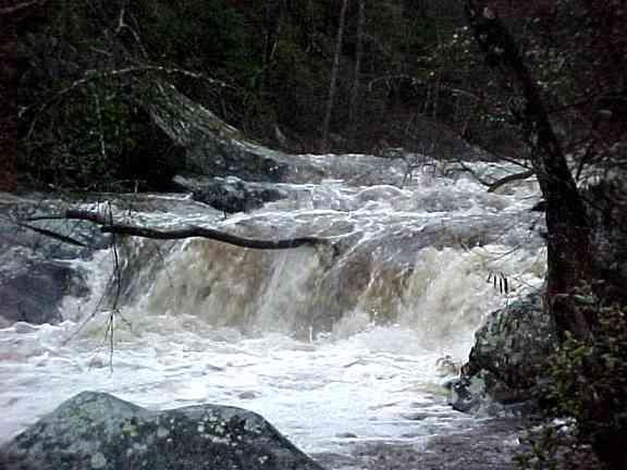 [0013] Ledge above Turkey Turn at high water