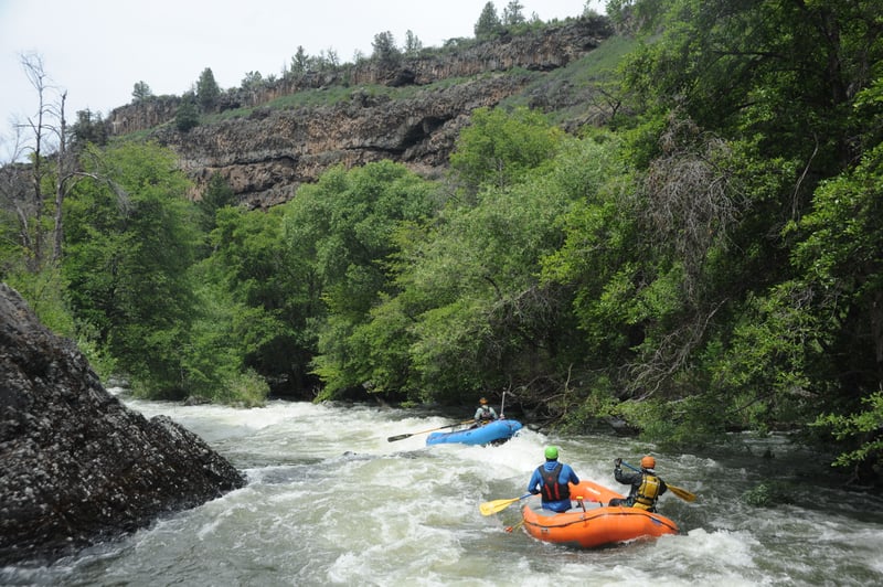 Ward's Canyon Rafting
