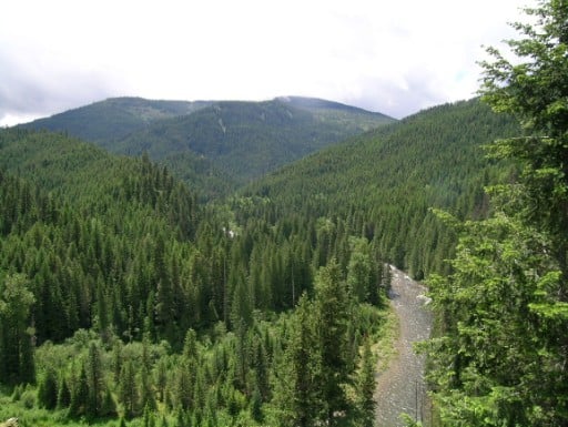 Mouth of Marble Creek