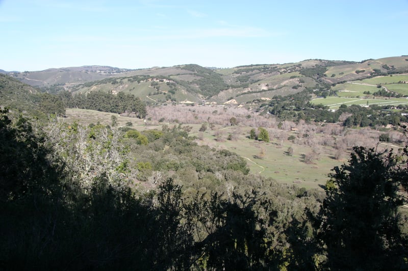 Scenery