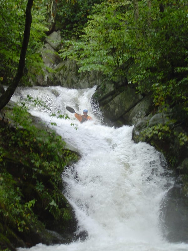 NF Shoe Creek