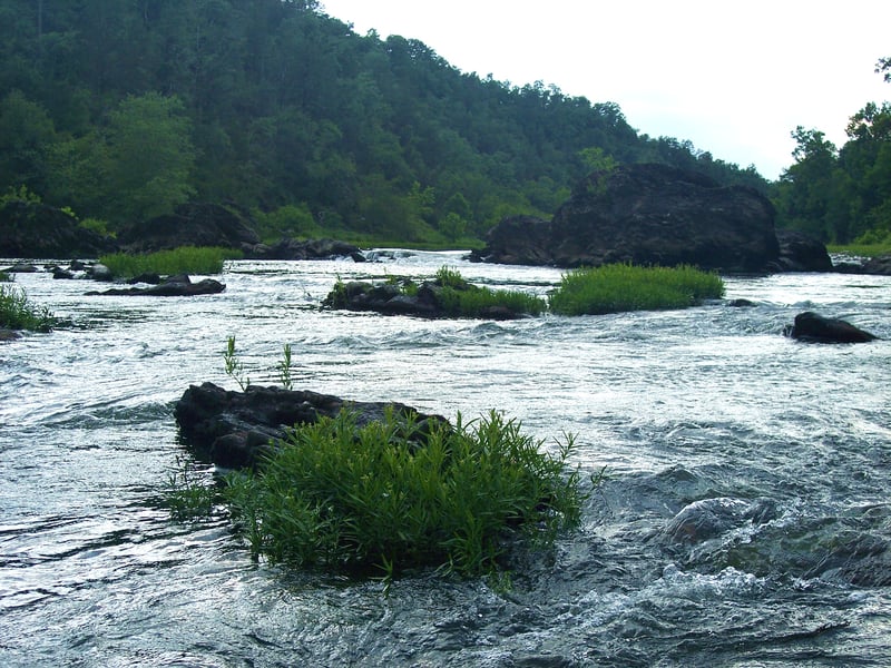 Ouachita River