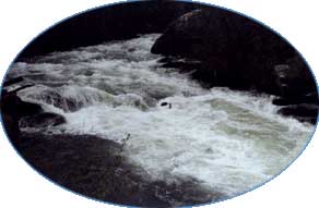 Buried Man at Fish Creek
